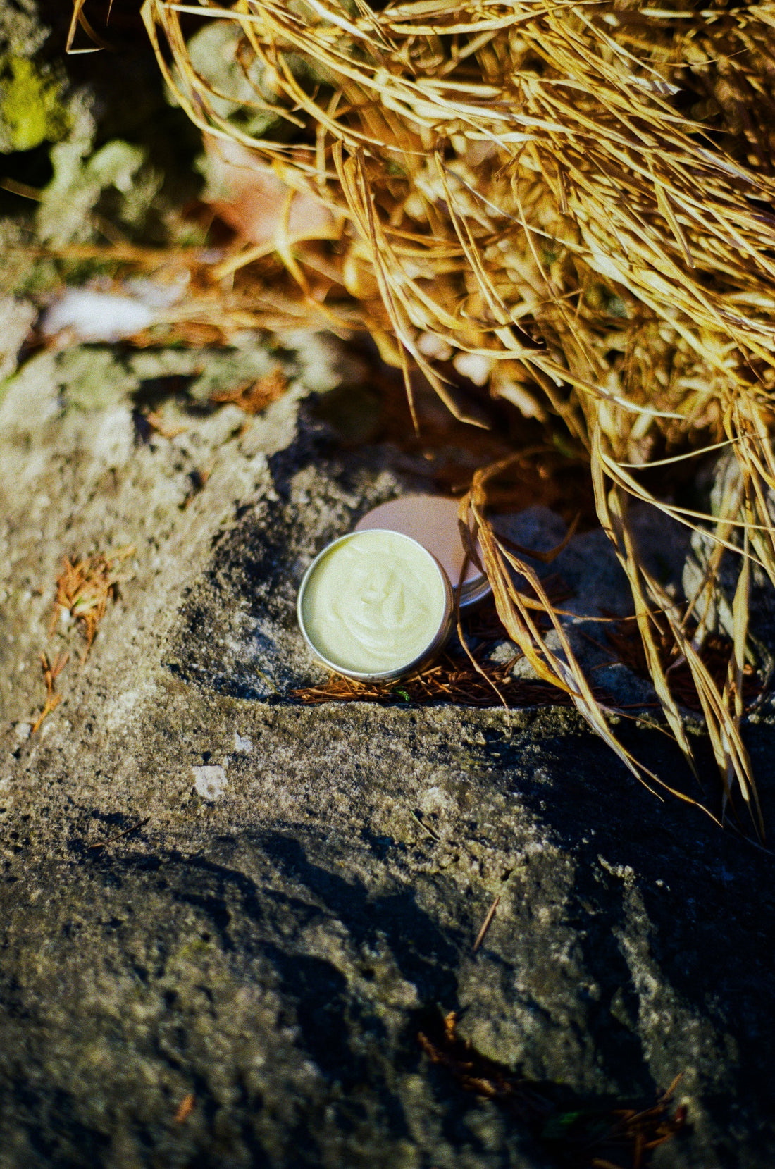 Beef Tallow for Skin: Benefits, Uses & How it’s made