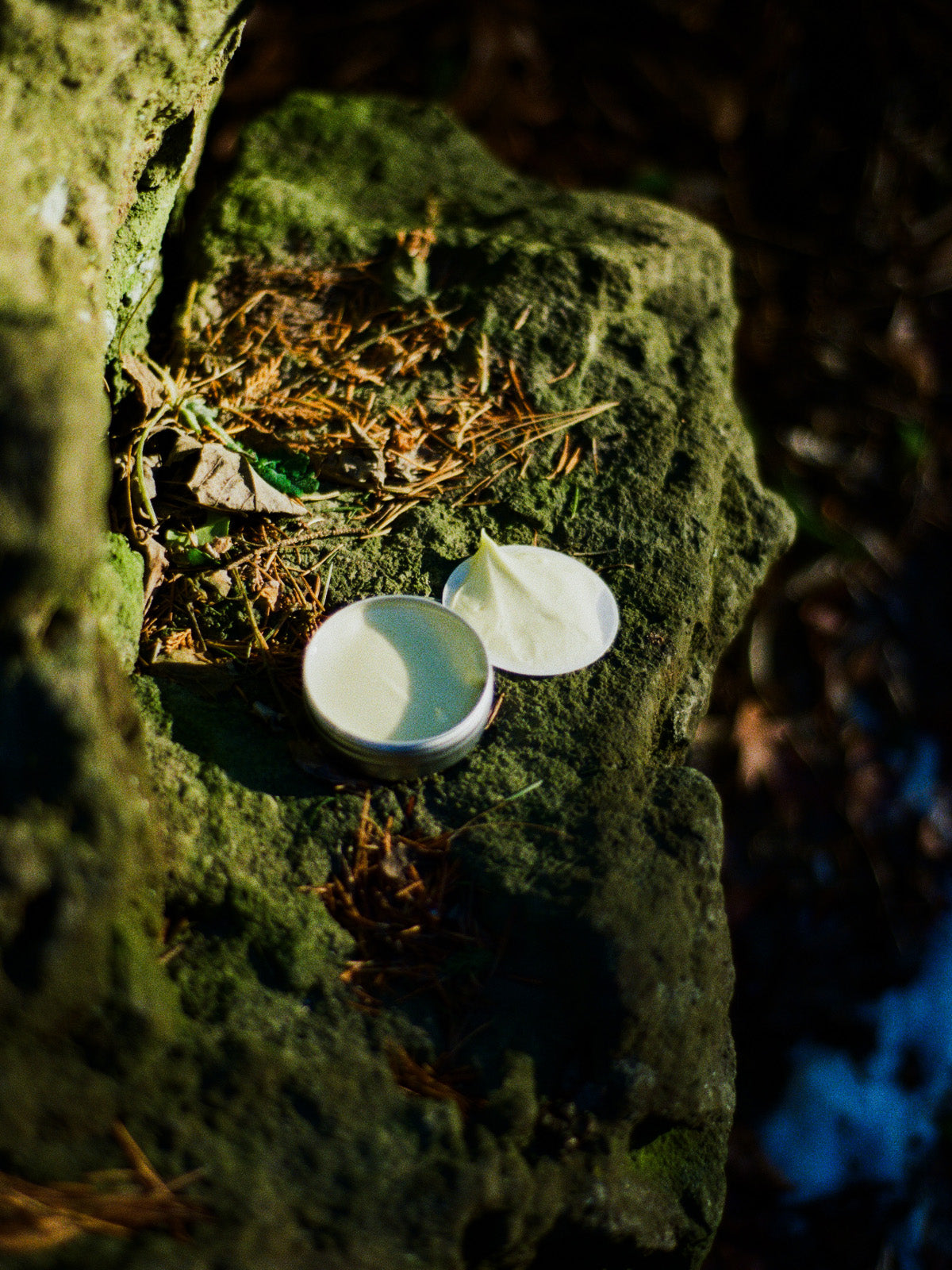 Royal Jelly Tallow Balm - Bergamot & Lavender