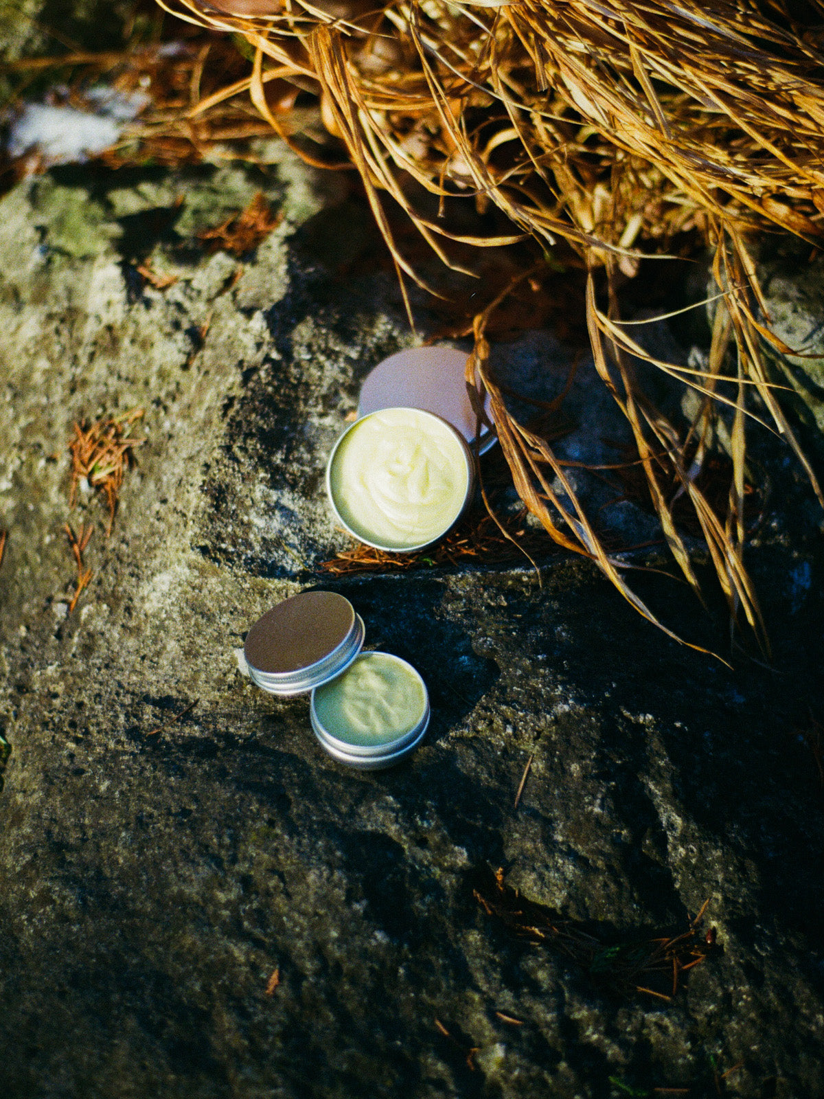 Royal Jelly Tallow Balm - Pomegranate & Rose