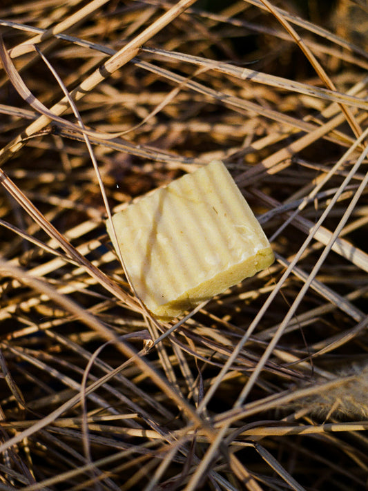 Shampoo & Conditioner Bar