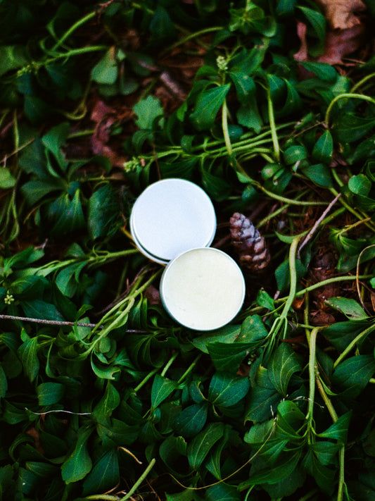 Honey Tallow Balm - Almond & Jojoba