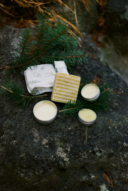 Oliba Starter Kit with shampoo bar, royal jelly balm, pomade, and lip balm displayed on natural rocks outdoors