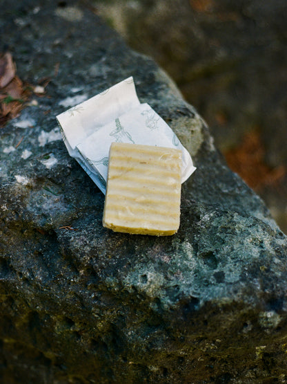 Shampoo & Conditioner Bar